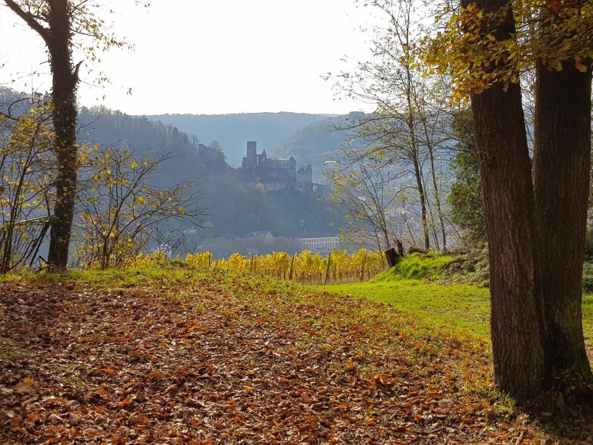 Gemuetliche Ferienwohnung Am Ortsrand Kreuzwertheim Экстерьер фото