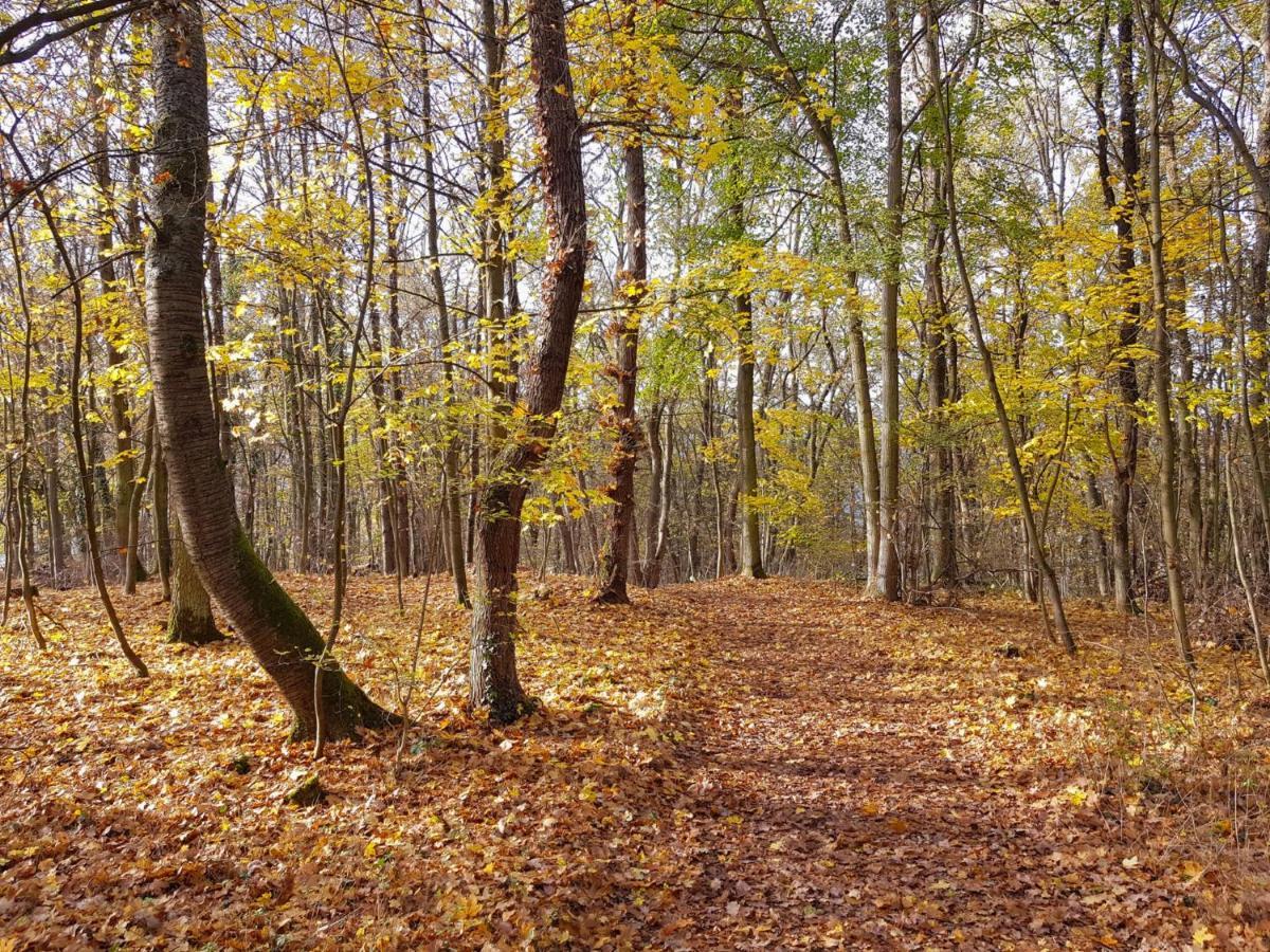 Gemuetliche Ferienwohnung Am Ortsrand Kreuzwertheim Экстерьер фото